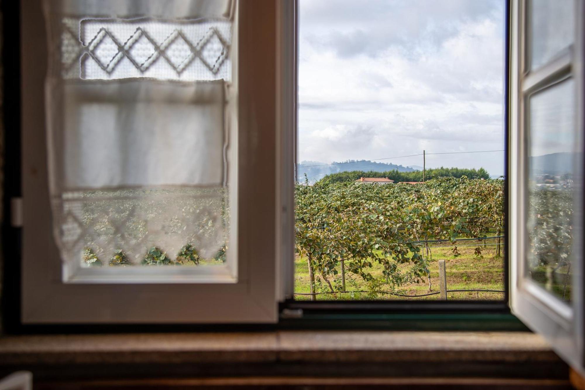 Quinta Do Carvalhal Alojamento, Penafiel Irivo Exteriör bild
